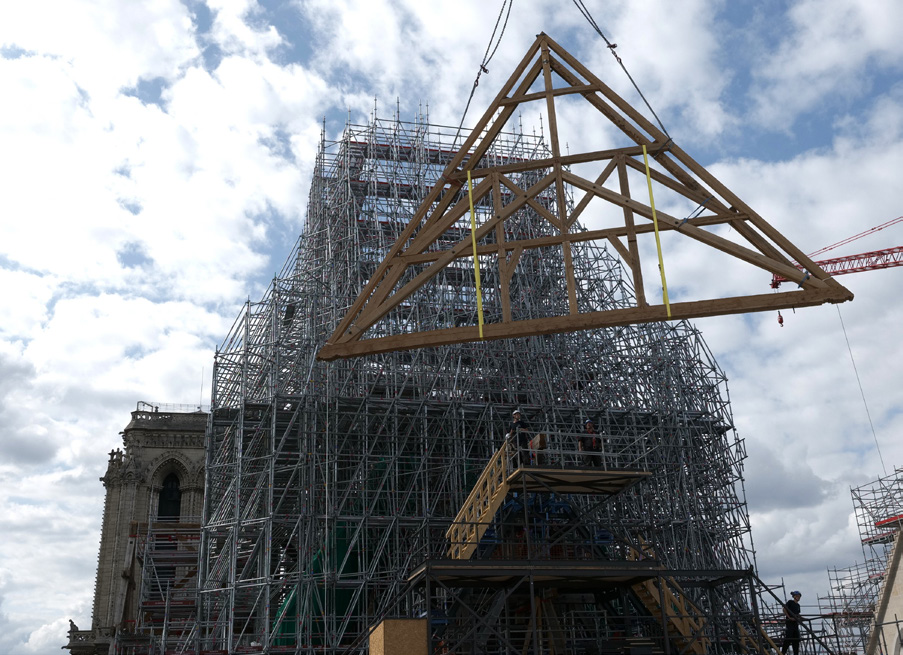 Reconstruction de la « forêt » en chênes sélectionnés dans toute la France