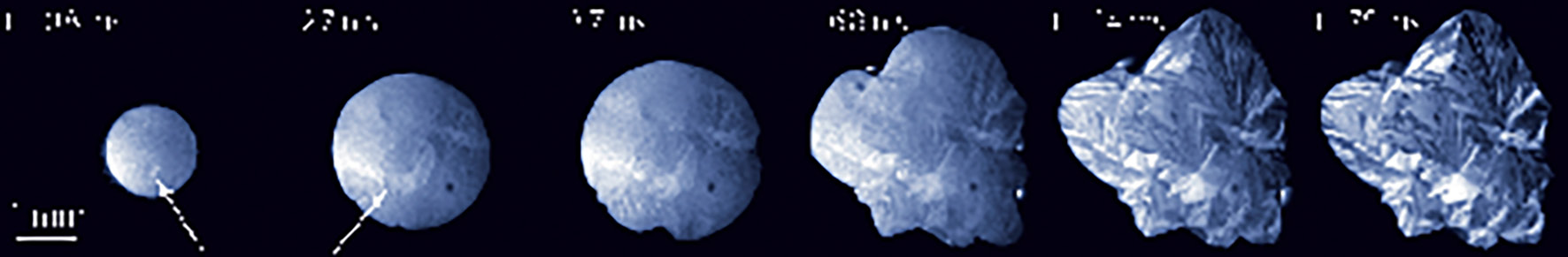 Figure 1 : Étalement d’une goutte d’eau sur une surface froide, vu par en dessous. L’étalement est arrêté par la nucléation et la croissance de cristaux de glace à l’intérieur de la goutte.